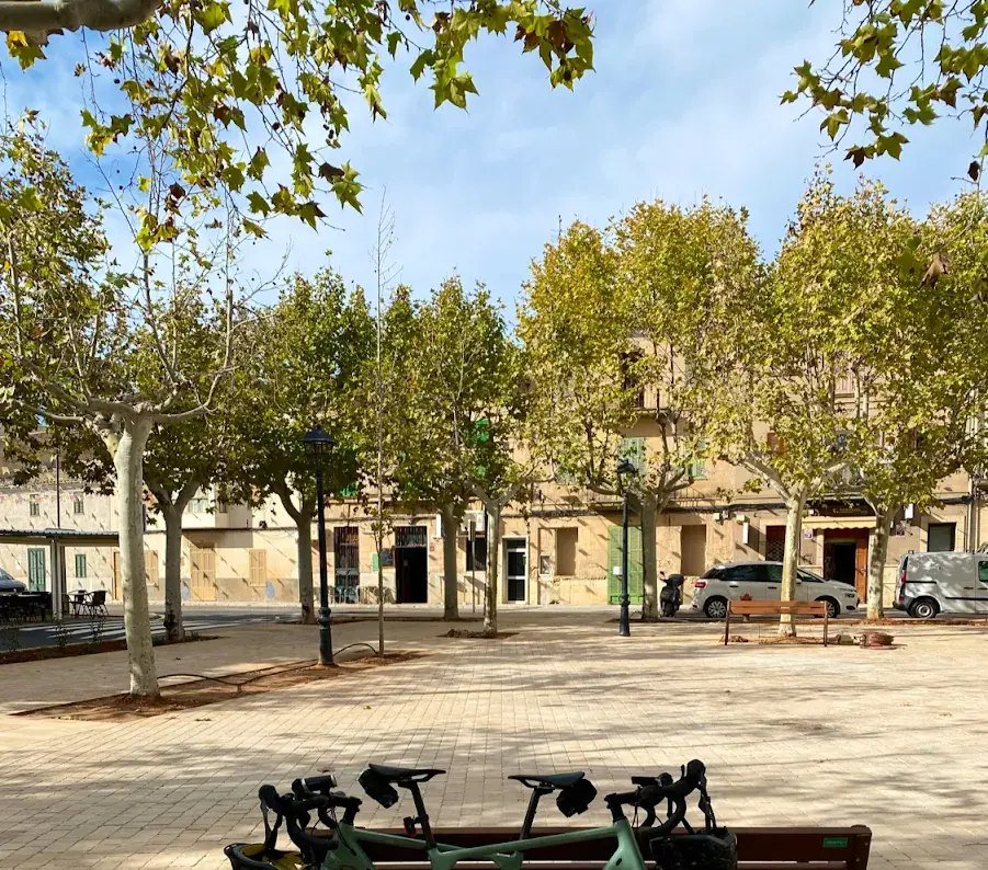 Kundenfoto Elite Sports Mallorca