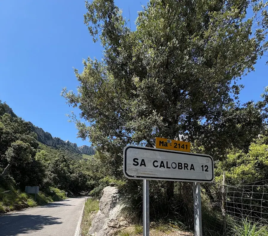 Kundenfoto Elite Sports Mallorca