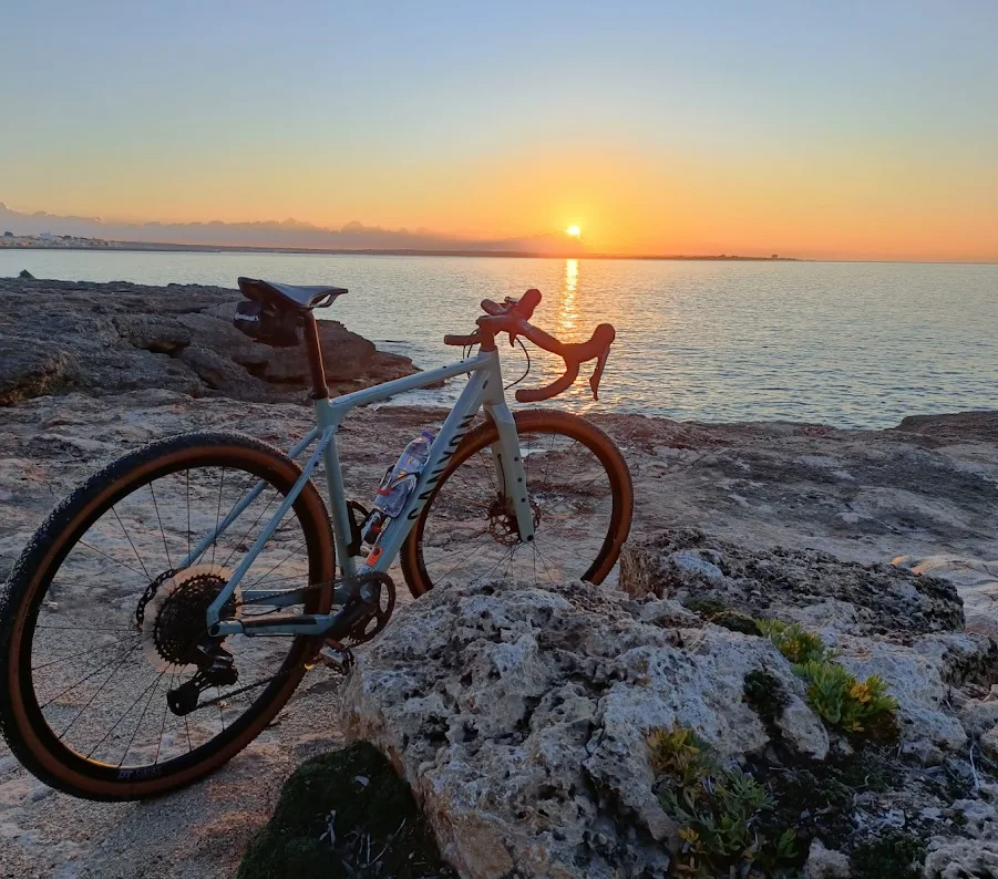 Kundenfoto Elite Sports Mallorca